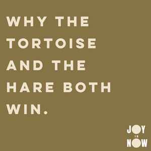 WHY THE TORTOISE AND HARE BOTH WIN